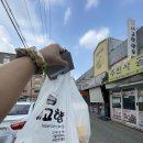 고향맛집 | 인천 남동구청역, 창대시장 손만두 맛집 내고향만두 후기