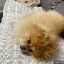 미용해·독 이미지