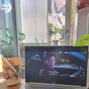 기초 필수 스페인어 단어공부 | [스페인어 독학 semana 5] Mejoras a medida que practicas. 스페인어 앱 추천