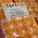 영희농수산 - 서귀포시 대포중앙로72번길 2-7 | 영희농수산