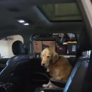 고집불통 이미지