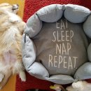 모현동물병원 이미지