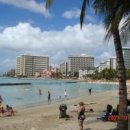 와이키키 이미지