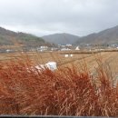 압곡2구 네이버블로그