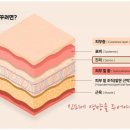 샤르네화장품