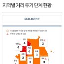 브라운빈두정 이미지