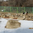 남대궐식당 이미지