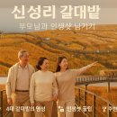 신성리생태공원 | ‘갈대밭이 다 거기서 거기?’ 막연한 생각 깨부순 서천 신성리 갈대밭 솔직 후기