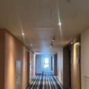 트레블로지 명동 을지로호텔 이미지