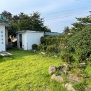 이두용공인중개사사무소 | 동해아침부동산에서 마음에쏙드는 매물을 만날수 있었던 후기