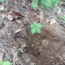 50사단 정문 앞 이미지