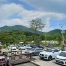 구름이 쉬는 나무 이미지