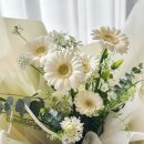 마미플레르
