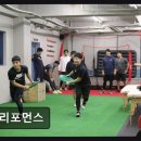 더진심 트레이닝센터 | 강남 크로스핏 프리포먼스 선수 트레이닝 노하우 집약
