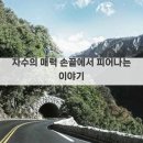 예술로 피어나는 천 이미지