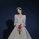 보니타컬렉션