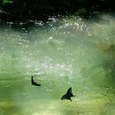 비밀정원 이미지