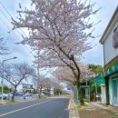 대륜세탁소 이미지