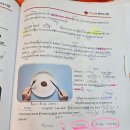 미리벌초등학교 이미지