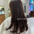 티나네강아지미용실 | 요즘 제 머릿결, 이거 실화인가요? 동탄미용실 방문 후기