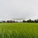 인성리-4 이미지