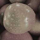 환이농장 이미지