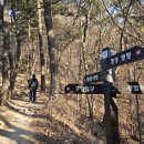 팔용동서식품 이미지