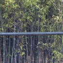 일화농장 | 바다만 보던 강릉 여행, 아이들과 오죽헌 화폐전시관 역사체험 (아이랑 강릉여행)