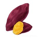 섬배마을 이미지