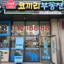 코끼리부동산중개사무소 이미지