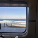 문희횟집 | 새해에 강릉가서 해돋이 못 본 사람