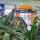 KBC방송국 앞 이미지