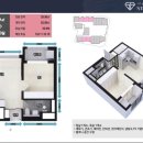 스테빌리움 이미지