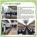 주식회사 북부 | 중구여행사 치앙마이 황금빛 여행 후기