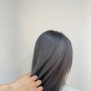 라벤더에쉬 이미지