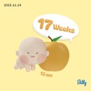 남주목장 | 임신 16주-20주차 기록; 겨울 준비하기! 겨울옷 장만🧣,주토피아 2 개봉🦊🐰,친구들 집방문🏡🏡