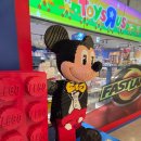 헬로 리틀 애니멀 | 광명 장난감가게 롯데몰 토이저러스 후기