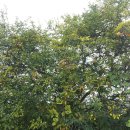 신한농장 이미지