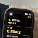 필소모