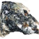 팀 펜로즈 이미지