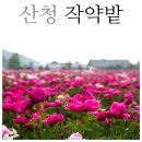 선원경로당 이미지