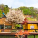 산당화가 피는집 이미지