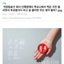 직장동료가 회사 단톡방에다 투표소에서 찍은 사진 올리면서 “투표합시다”라고 글 올리면 무슨 생각 들어? 이미지