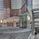 씨유 동탄노르웨이숲 네이버블로그