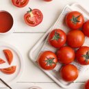 사천상회 이미지