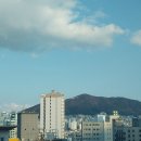 오늘도봄날
