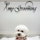 GROOMING 107 이미지