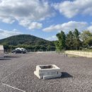 닮다, 담다 153 이미지