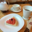 까페지니 이미지