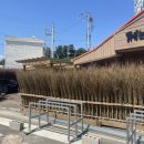 제비낭민박 이미지